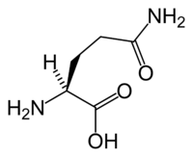 L-glutamine sa Keto Diet